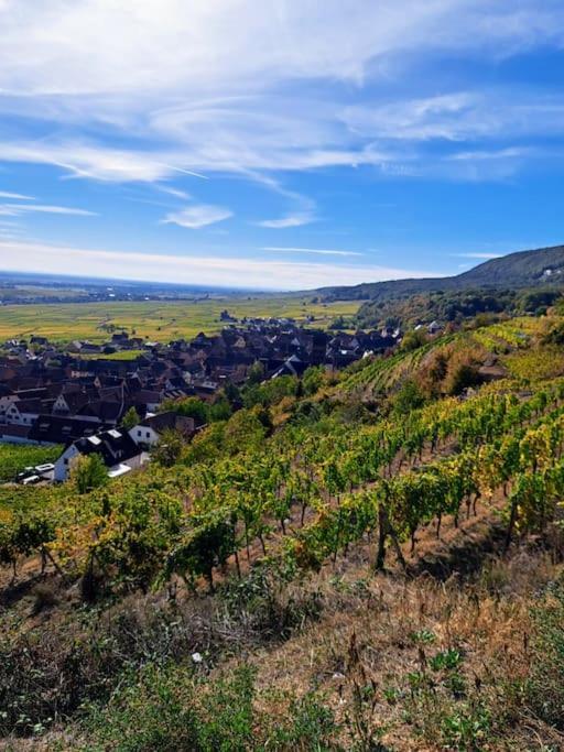 Entre Vignes Et Vergers Gite Parenthese Gueberschwihr Εξωτερικό φωτογραφία
